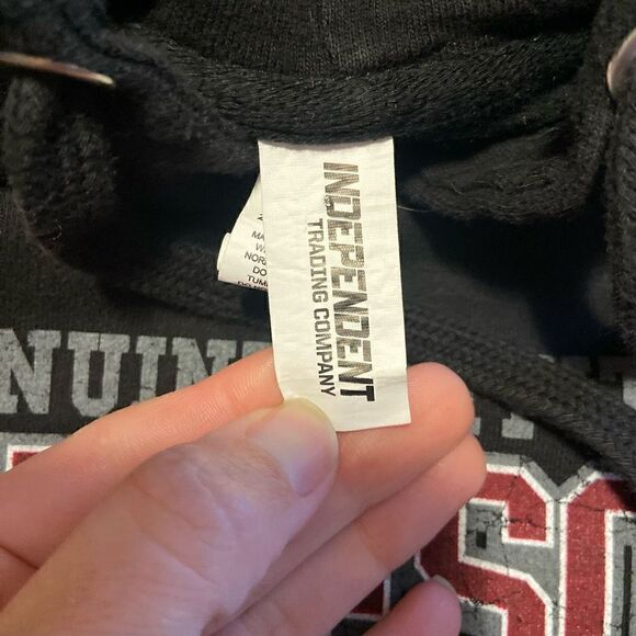 Minnesota Oversized Hoodie - Picture 5 of 6